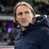 Venezia, Nicola: "Lauberbach titolare? Ecco il motivo. Sono contento di Busio, Rrahmani..."