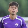 Fiorentina-Frosinone, le probabili formazioni: Valdepenas dal primo minuto