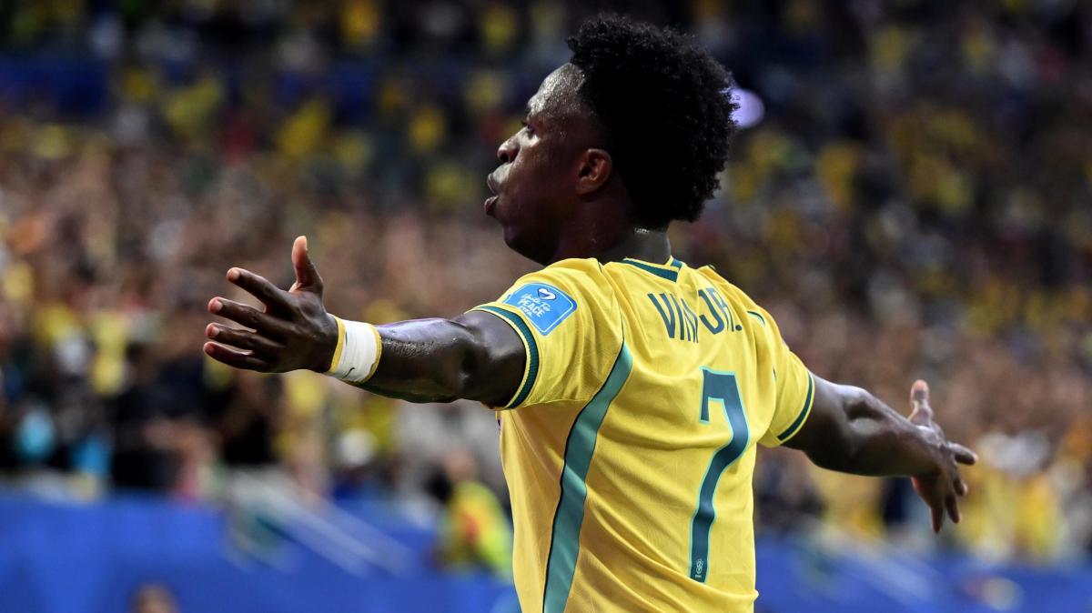 Vinicius, Brasile
