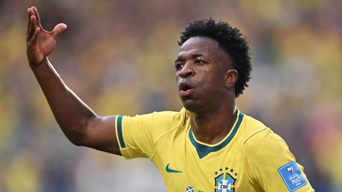 Vinicius, Brasile