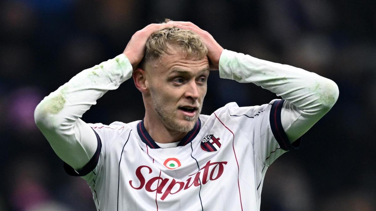 Odgaard, Bologna