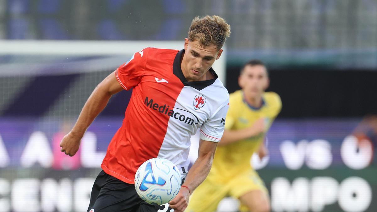 Pellegrino, Fiorentina