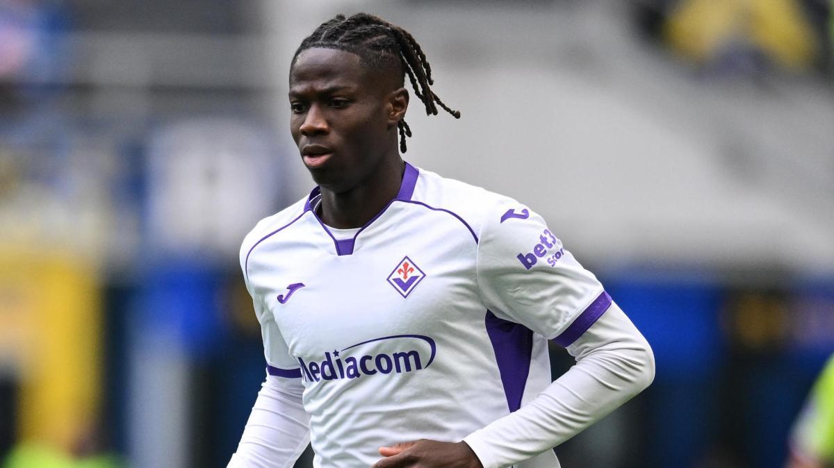 Njie, Fiorentina