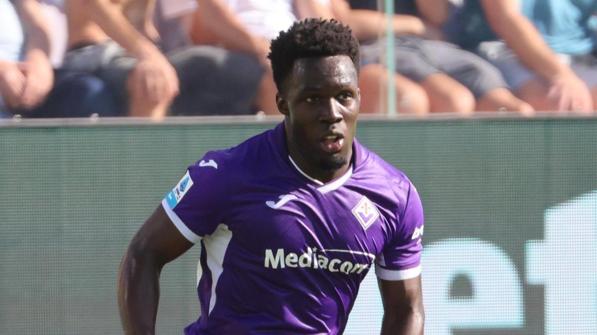 Gnonto, Fiorentina