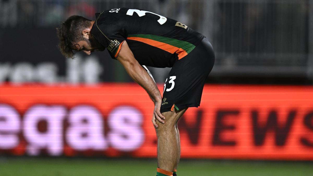 Venezia, la lettera di Sverko ai tifosi: "Da due anni soffro di un problema..."