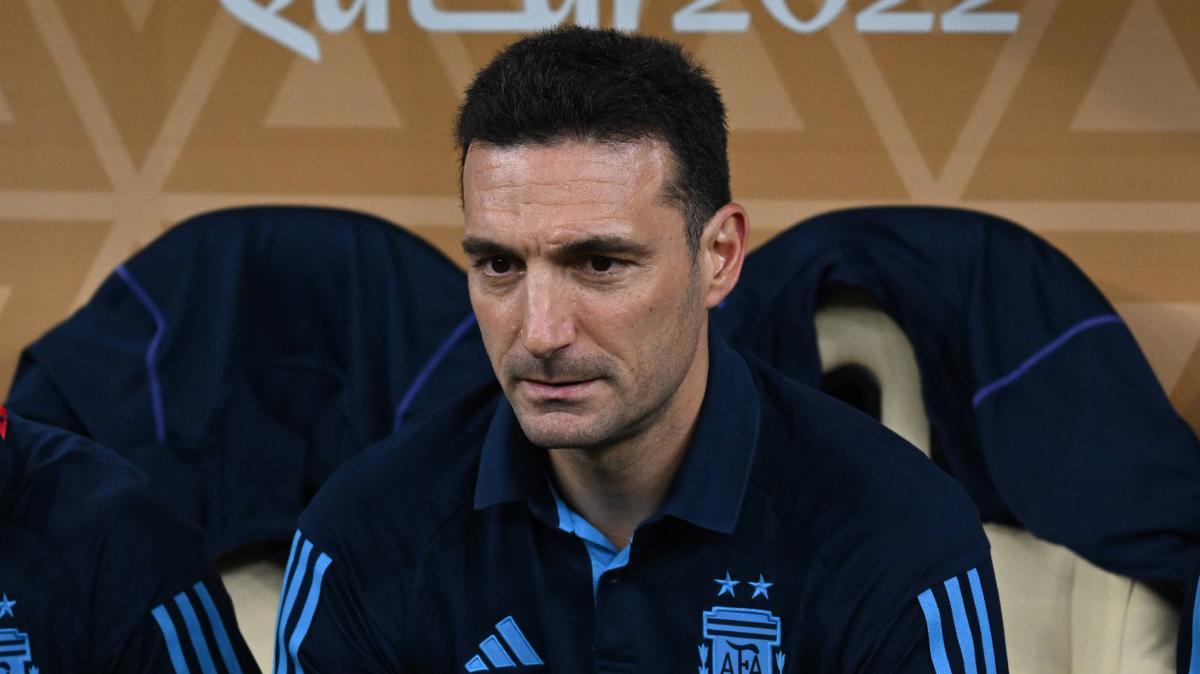 Lionel Scaloni, Argentina