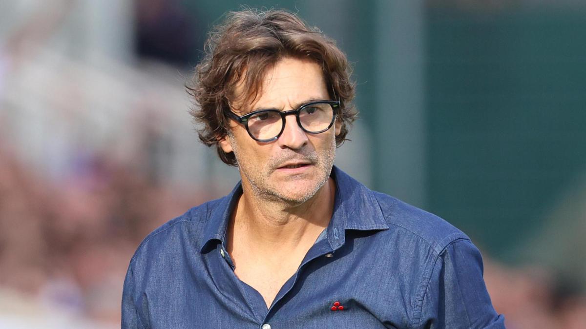 Paolo Vanoli, Fiorentina