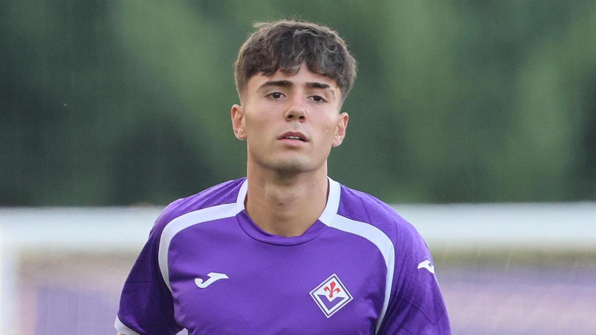 Fiorentina-Frosinone, le probabili formazioni: Valdepenas dal primo minuto