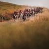 Il mondiale di endurance equestre del 2028 si svolgerà al Trasimeno: scelta la candidatura di Castiglione del Lago