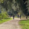 Sta nascendo l' "Amerina Bike Route", la ciclovia realizzata dal Comune di Todi e da quelli limitrofi