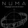 La ritrattista e scrittrice Paola Filomeno e il sogno di "Numa": che diventi quello dei numeri il linguaggio unico universale!