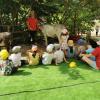Concluso a Perugia il centro estivo "Lucignolo", progetto educativo dove i piccoli scoprono la natura