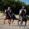 Convocazione azzurra nell'endurance equestre per Costanza Laliscia e Federico Valeri del Fuxiateam