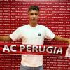 Ve lo ricordate con la maglia del Perugia? Ora Bozzolan è un nuovo giocatore del Palermo