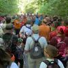 La filiera del legno, ovvero il bosco come risorsa sostenibile: a Scheggia la presentazione del progetto