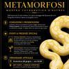 Domenica 28 a Bastia l'artista Daniela Bocciarelli inaugura “Metamorfosi”, mostra nata dall'incontro tra nudo artistico e natura selvaggia
