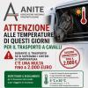 Catia Brozzi lancia l'appello! "Con questo caldo che vi sia la attenzione durante il trasporto dei cavalli!"