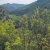 A Perugia il 9 ottobre convegno su "Aziende e foreste: un connubio di valore"