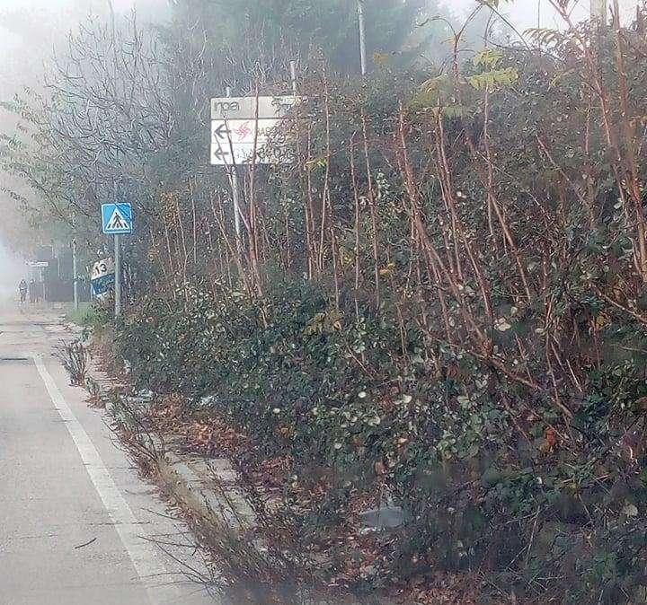 Pur con le sollecitazioni, a Ferro di Cavallo ancora impossibile transitare per il marciapiedi a causa del mancato sfalcio dell'erba