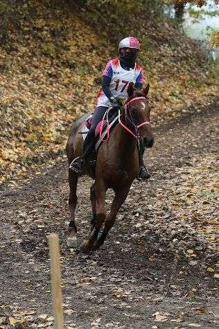 Nell'endurance equestre Laliscia e Tavassoli chiudono il 2021 con piena soddisfazione