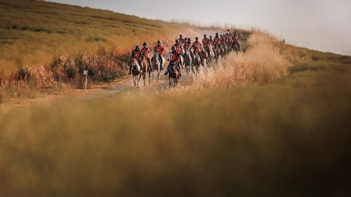 Il mondiale di endurance equestre del 2028 si svolgerà al Trasimeno: scelta la candidatura di Castiglione del Lago