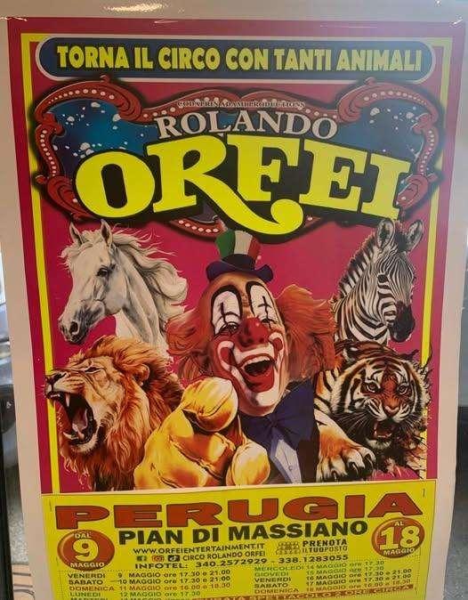 A Perugia contro la sindaca Vittoria Ferdinandi per ospitare il circo con animali vivi