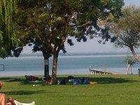 Ci risiamo! Multe anche oggi a chi aveva parcheggiato l'auto lungo le spiagge del Trasimeno: ma solo alcune...