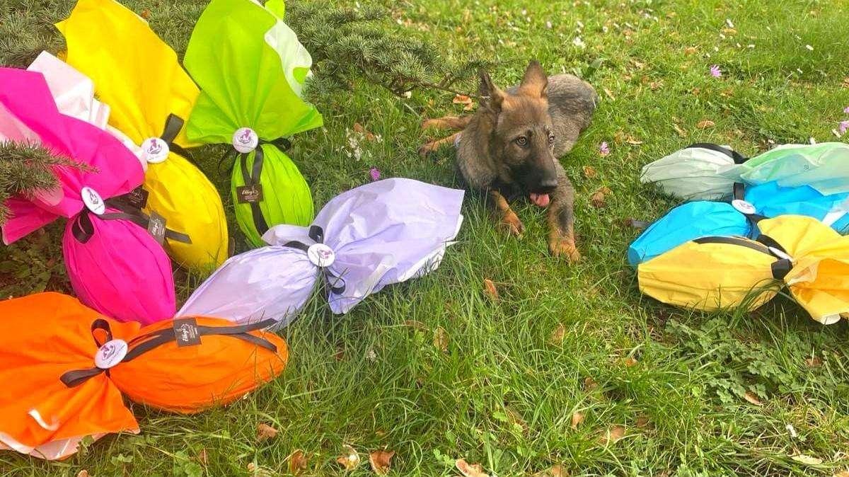 Bella iniziativa! Acquistando un uovo di Pasqua a 10 euro si può aiutare Aria a sopravvivere
