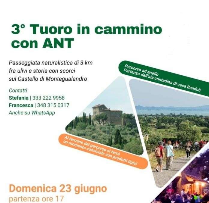 Camminare insieme per solidarietà: domenica 23 c'è “Tuoro in Cammino con ANT”