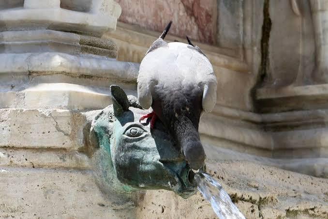 Ancora un gran caldo a Perugia: un altri fine settimana di disagio per la popolazione
