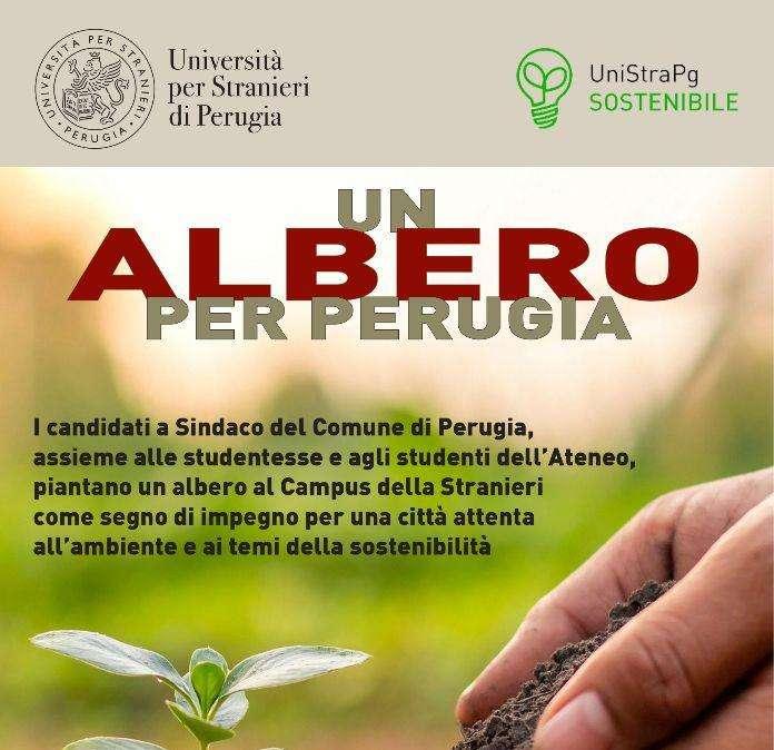 I candidati a sindaco di Perugia incontrano oggi gli studenti dell'Università per Stranieri