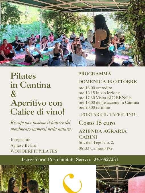 Siete pronti? Domenica con Agnese Belardi c'è il pilates in vigna: si va alla Cantina Carini di Colle Umberto