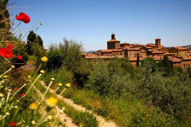 Tante opportunità con i distretti del cibo: ecco quelli del Trasimeno corcianese e dell'area sud ovest orvietana