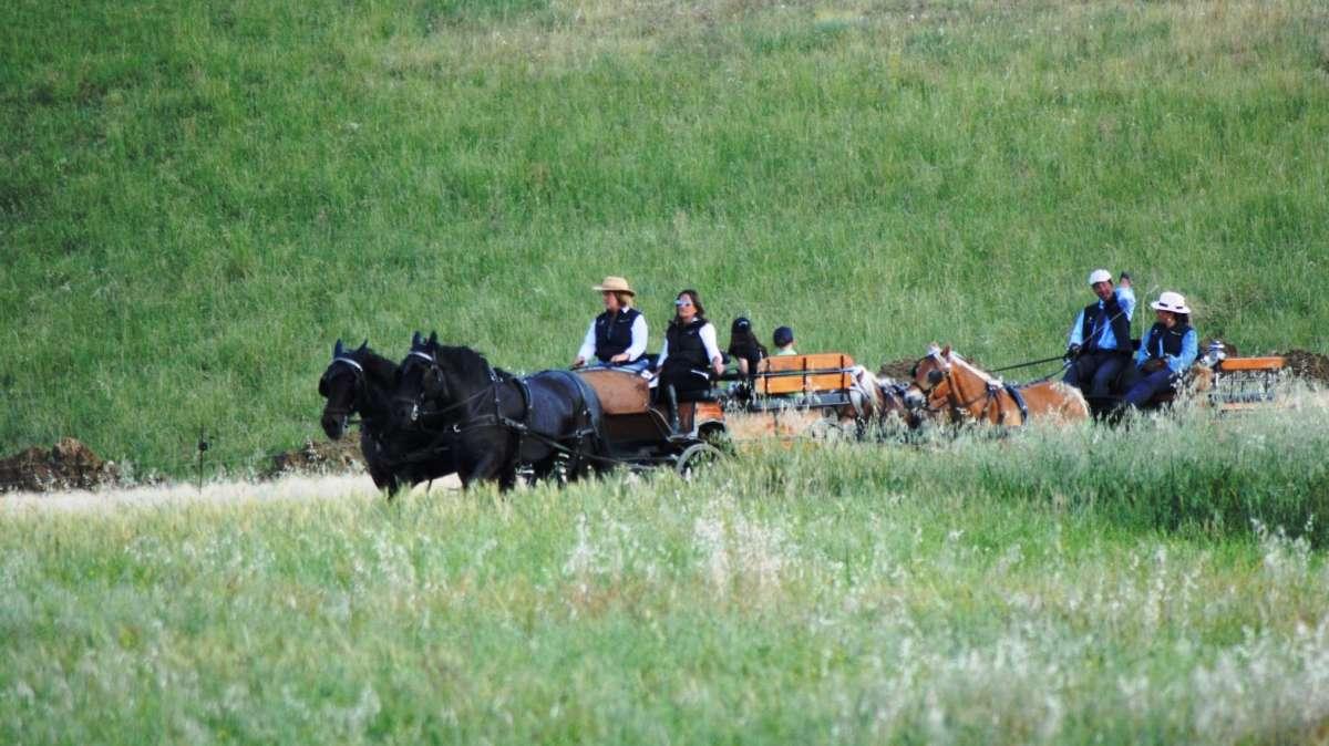 “Tutti in carrozza verso Assisi” per il "paradiving tour": arrivo previsto per domani mattina