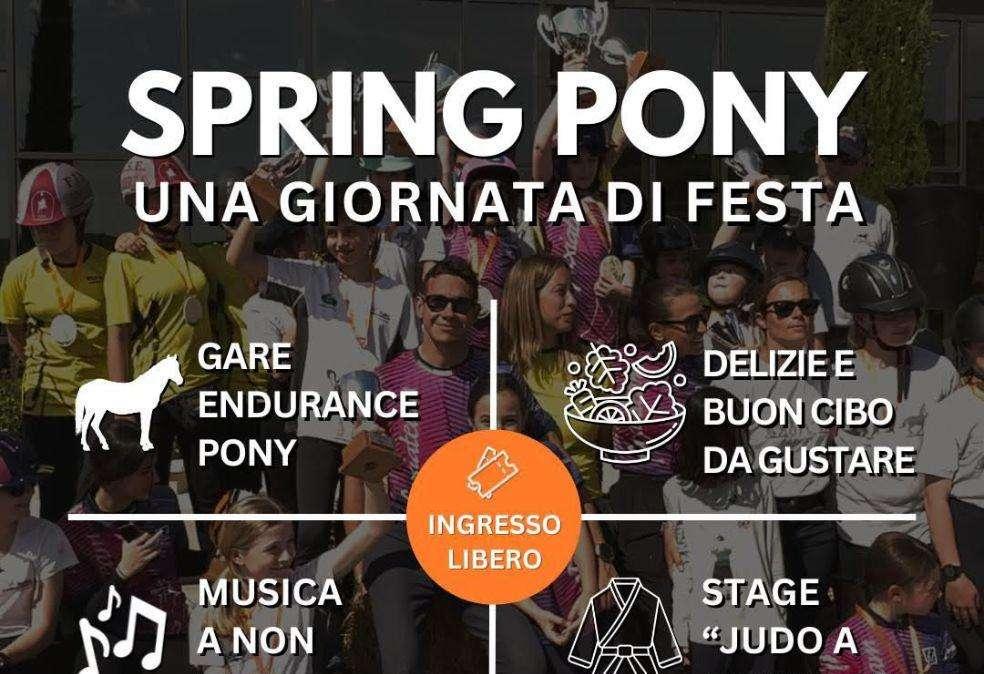 Domenica ad Agello torna lo Spring Pony 2024 all'insegna dell'endurance equestre