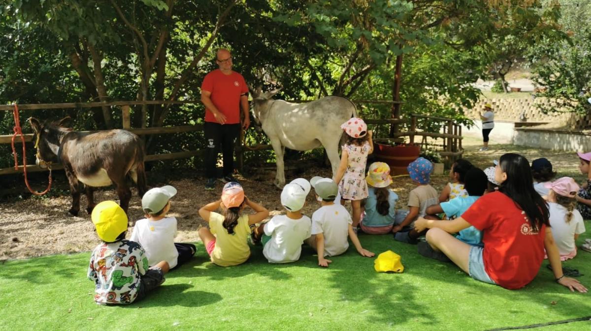 Concluso a Perugia il centro estivo "Lucignolo", progetto educativo dove i piccoli scoprono la natura