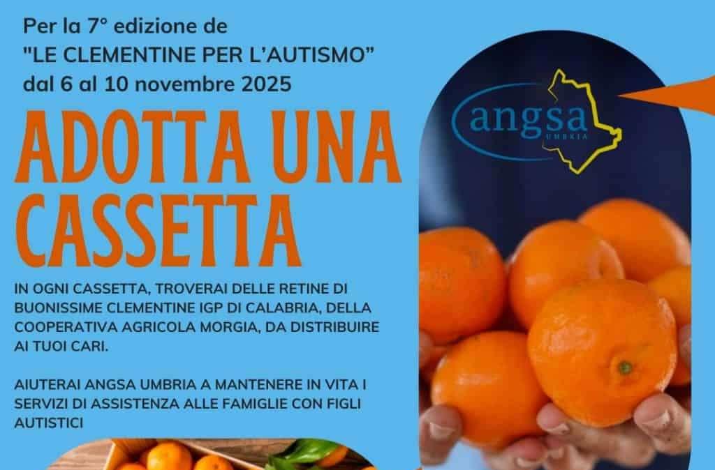 Il Perugia calcio in questi fine settimana è al fianco di Angsa (Associazione Nazionale Genitori Soggetti Autistici) Umbria