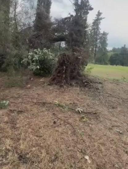 Il nubifragio di ieri ha provocato danni ingenti al Golf Club Perugia, che oggi rimane chiuso