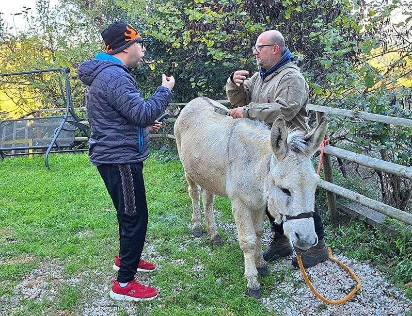 Con la Pet therapy benefici dell’asino su ragazzi e adulti con problemi cognitivi: esperienza a Perugia