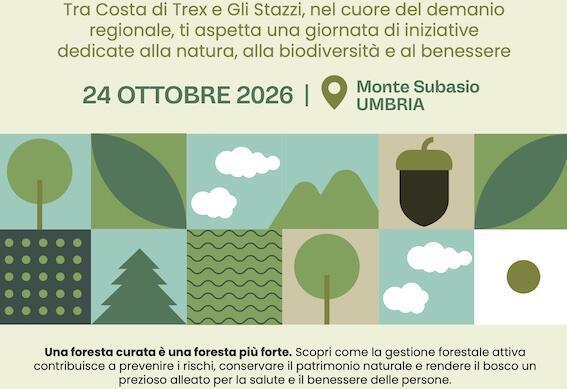 Il respiro verde dell'Umbria: sul Monte Subasio il 24 ottobre ci sarà la prima "Giornata delle Foreste Regionali"