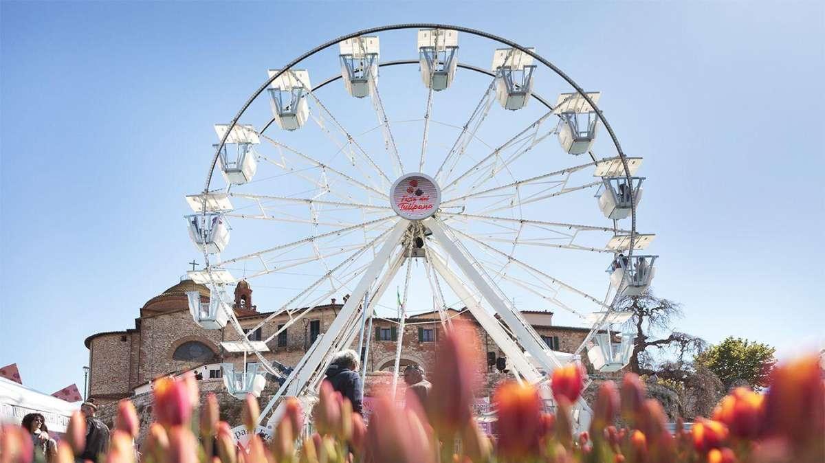 Castiglione del Lago si conferma la patria dei tulipani: la tradizionale festa dal 24 aprile al 3 maggio
