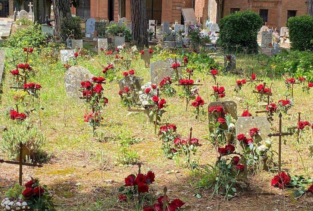 Al cimitero di Città della Pieve rose rosse sulle tombe delle bambine: gesto anonimo assai apprezzato