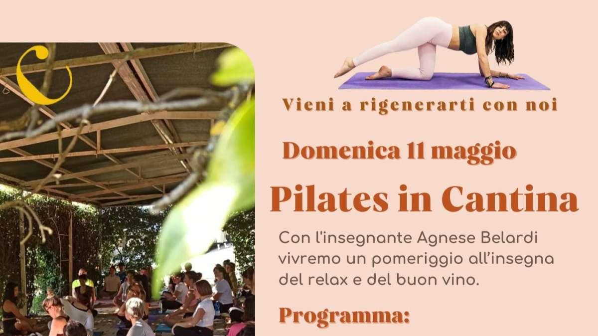 Torna il Pilates tra le vigne: l'11 maggio alla Cantina Carini di Colle Umberto con Agnese Belardi