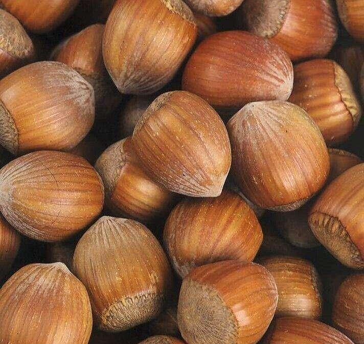 Se vi piace la Nutella, sappiate che presto le nocciole potrebbero essere quelle umbre