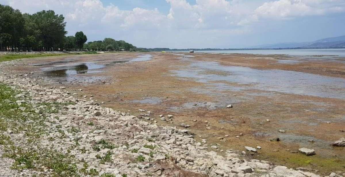 Quanti soldi sprecati per la salute del lago Trasimeno! E pensare che in passato...