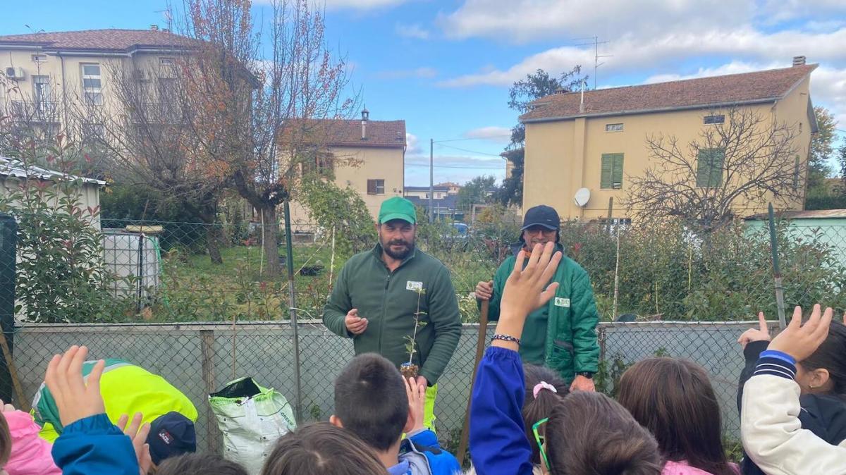 Venerdì 9 ottobre ad Assisi l'iniziativa “Un albero per crescere insieme” promossa dall’Agenzia Forestale Regionale (AFoR Umbria)