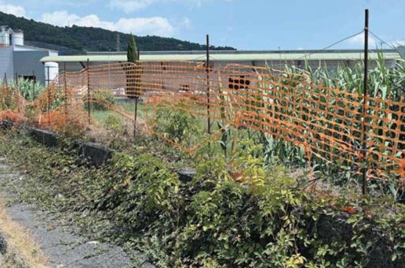 Entro i prossimi mesi aprirà il nuovo mega-supermercato Eurospin! Già avviato il cantiere in un'area tra Ellera e Santa Sabina! 