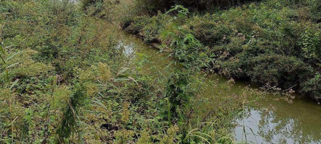 Dell'Acqua al Trasimeno: il commissario in visita per conoscere le problematiche del lago 