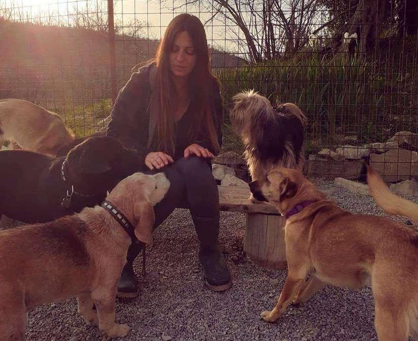 Indagano i carabinieri sulla terribile aggressione alla donna e alla figlia 16enne che difendevano gli animali