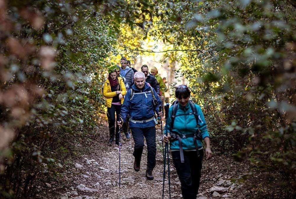 Ecco il calendario delle “Passeggiate & buon gusto di primavera tra borghi, ulivi e fattorie”: si inizia il 5 aprile